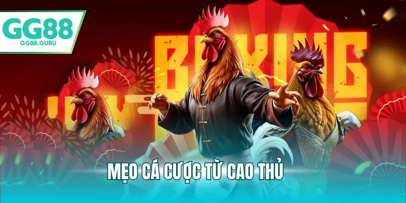 Mẹo cá cược từ cao thủ